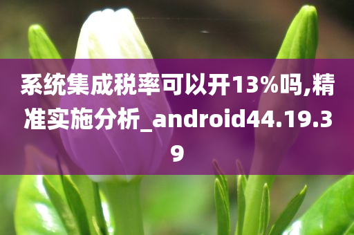 系统集成税率可以开13%吗,精准实施分析_android44.19.39