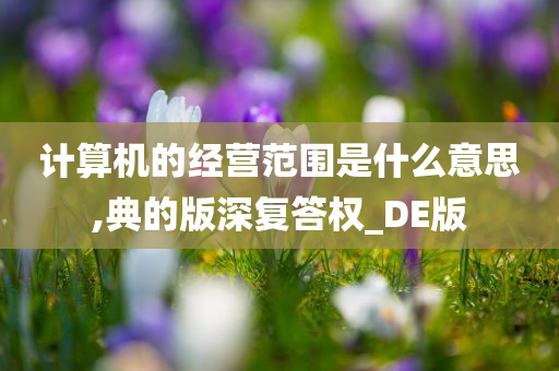 计算机的经营范围是什么意思,典的版深复答权_DE版