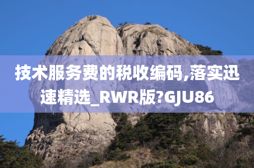 技术服务费的税收编码,落实迅速精选_RWR版?GJU86