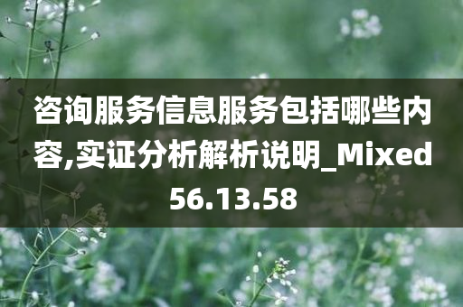 咨询服务信息服务包括哪些内容,实证分析解析说明_Mixed56.13.58