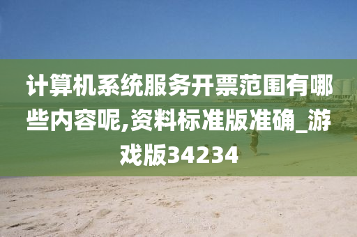 计算机系统服务开票范围有哪些内容呢,资料标准版准确_游戏版34234