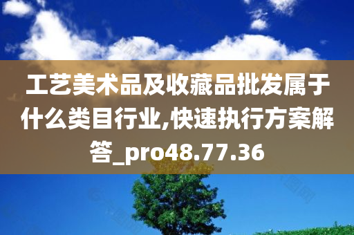 工艺美术品及收藏品批发属于什么类目行业,快速执行方案解答_pro48.77.36