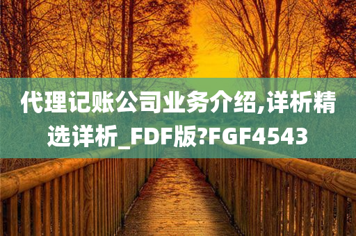 代理记账公司业务介绍,详析精选详析_FDF版?FGF4543