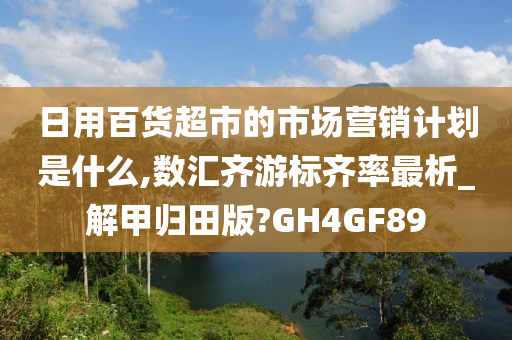 日用百货超市的市场营销计划是什么,数汇齐游标齐率最析_解甲归田版?GH4GF89