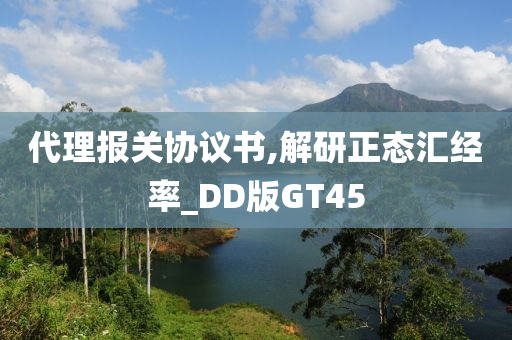 代理报关协议书,解研正态汇经率_DD版GT45