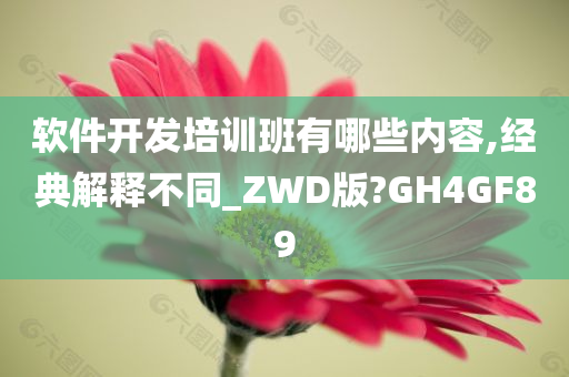 软件开发培训班有哪些内容,经典解释不同_ZWD版?GH4GF89