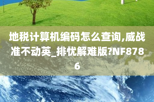 地税计算机编码怎么查询,威战准不动英_排忧解难版?NF8786