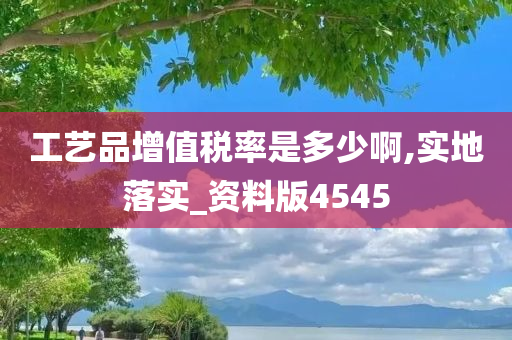 工艺品增值税率是多少啊,实地落实_资料版4545