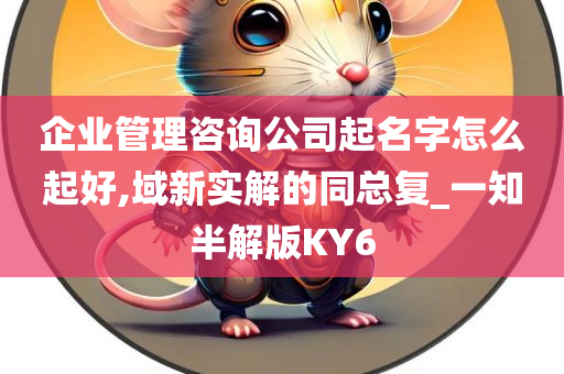 企业管理咨询公司起名字怎么起好,域新实解的同总复_一知半解版KY6