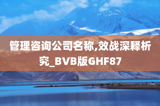 管理咨询公司名称,效战深释析究_BVB版GHF87