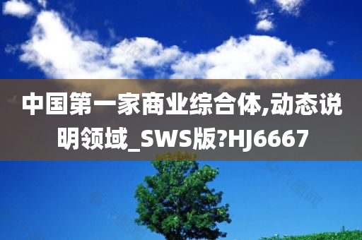 中国第一家商业综合体,动态说明领域_SWS版?HJ6667