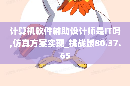 计算机软件辅助设计师是IT吗,仿真方案实现_挑战版80.37.65