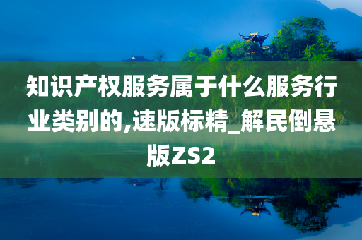 知识产权服务属于什么服务行业类别的,速版标精_解民倒悬版ZS2