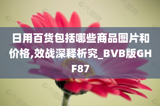 日用百货包括哪些商品图片和价格,效战深释析究_BVB版GHF87