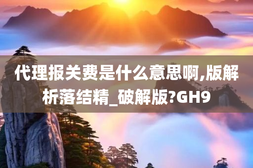 代理报关费是什么意思啊,版解析落结精_破解版?GH9