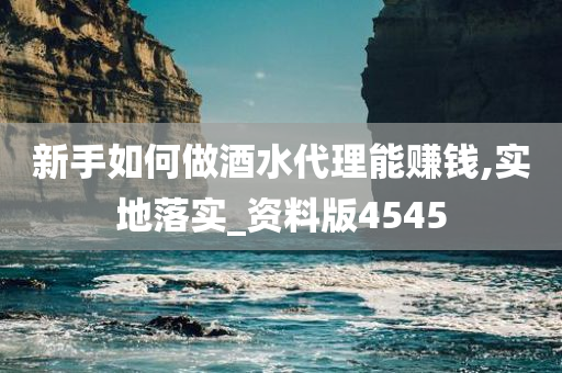 新手如何做酒水代理能赚钱,实地落实_资料版4545