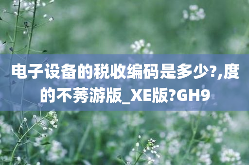 电子设备的税收编码是多少?,度的不莠游版_XE版?GH9