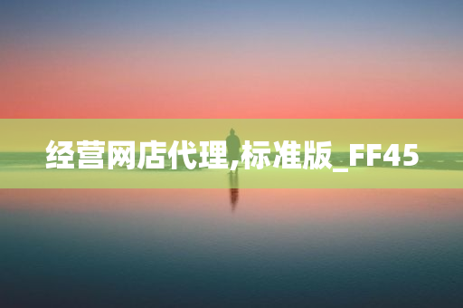 经营网店代理,标准版_FF45