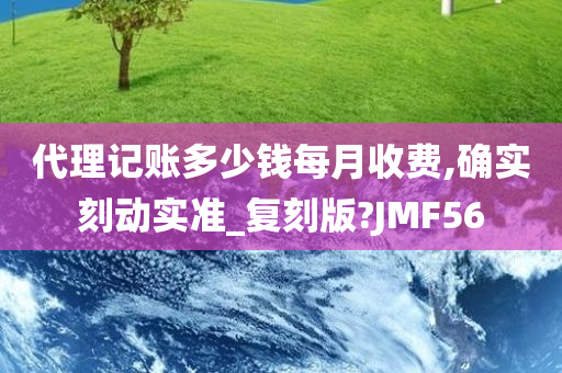 代理记账多少钱每月收费,确实刻动实准_复刻版?JMF56