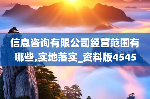 信息咨询有限公司经营范围有哪些,实地落实_资料版4545