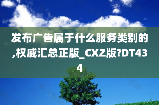 发布广告属于什么服务类别的,权威汇总正版_CXZ版?DT434