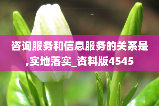 咨询服务和信息服务的关系是,实地落实_资料版4545