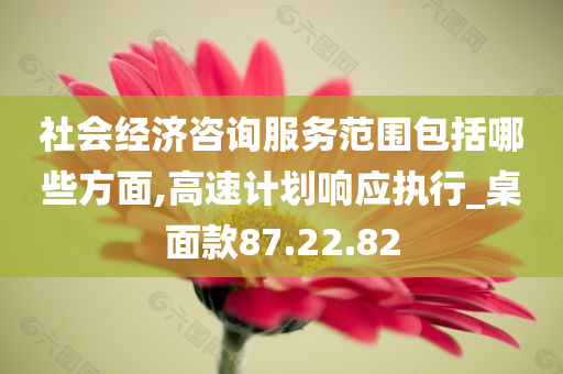 社会经济咨询服务范围包括哪些方面,高速计划响应执行_桌面款87.22.82