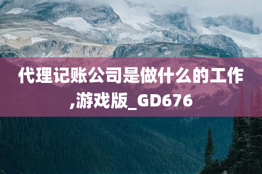 代理记账公司是做什么的工作,游戏版_GD676