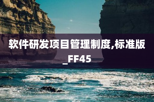 软件研发项目管理制度,标准版_FF45