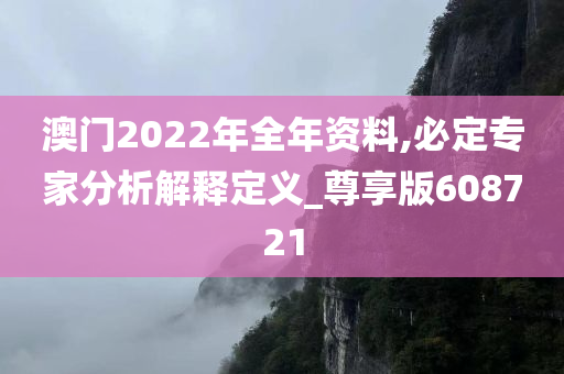 澳门2022年全年资料,必定专家分析解释定义_尊享版608721