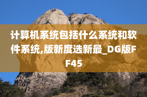 计算机系统包括什么系统和软件系统,版新度选新最_DG版FF45