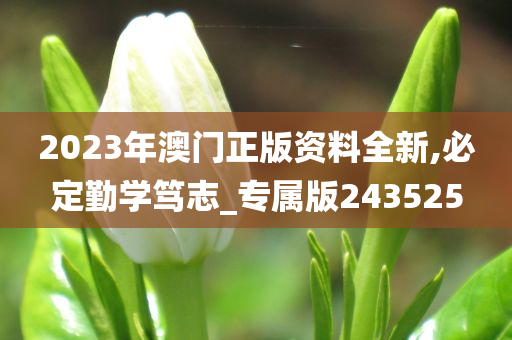 2023年澳门正版资料全新,必定勤学笃志_专属版243525