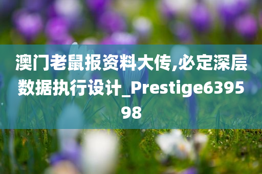 澳门老鼠报资料大传,必定深层数据执行设计_Prestige639598