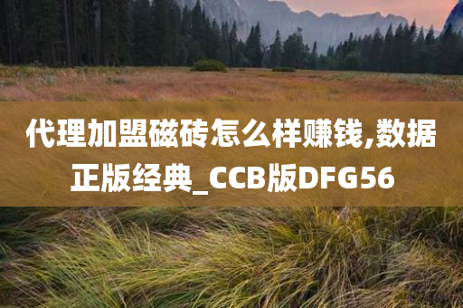 代理加盟磁砖怎么样赚钱,数据正版经典_CCB版DFG56