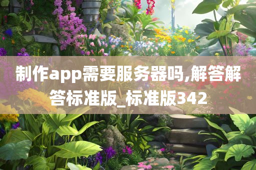 制作app需要服务器吗,解答解答标准版_标准版342