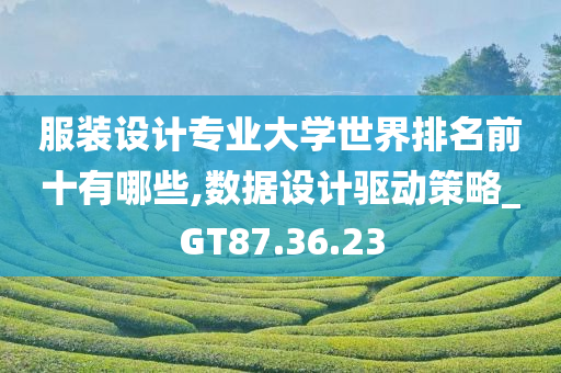 服装设计专业大学世界排名前十有哪些,数据设计驱动策略_GT87.36.23