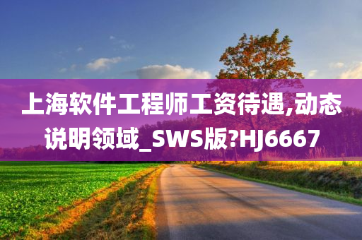 上海软件工程师工资待遇,动态说明领域_SWS版?HJ6667