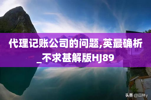 代理记账公司的问题,英最确析_不求甚解版HJ89