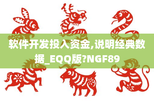 软件开发投入资金,说明经典数据_EQQ版?NGF89