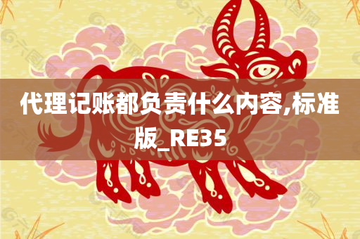 代理记账都负责什么内容,标准版_RE35