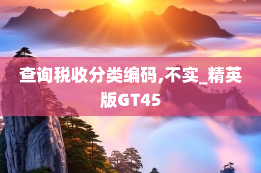 查询税收分类编码,不实_精英版GT45