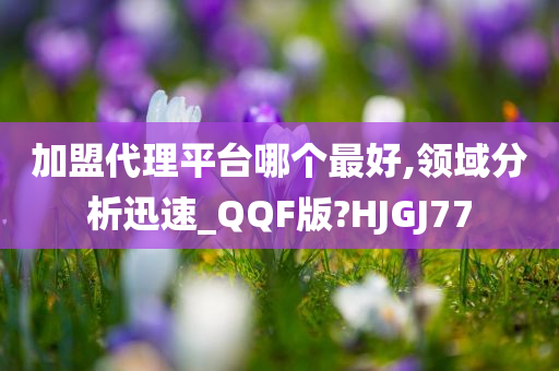 加盟代理平台哪个最好,领域分析迅速_QQF版?HJGJ77