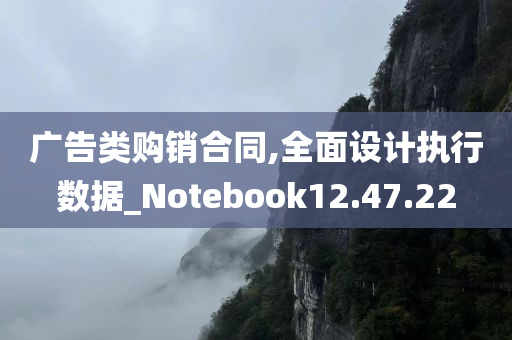 广告类购销合同,全面设计执行数据_Notebook12.47.22