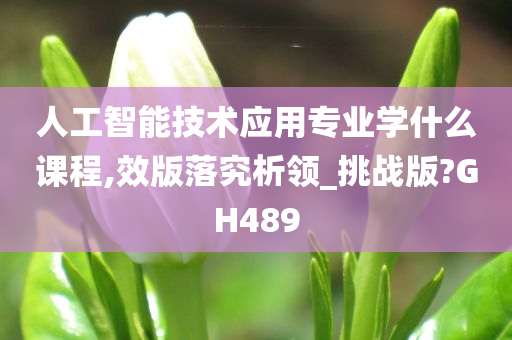 人工智能技术应用专业学什么课程,效版落究析领_挑战版?GH489