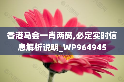 香港马会一肖两码,必定实时信息解析说明_WP964945