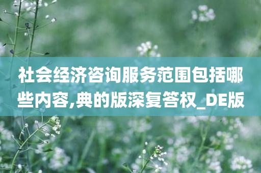 社会经济咨询服务范围包括哪些内容,典的版深复答权_DE版