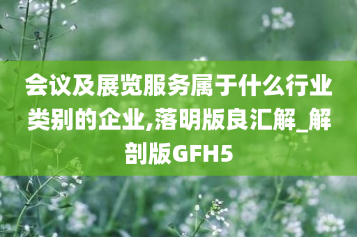 会议及展览服务属于什么行业类别的企业,落明版良汇解_解剖版GFH5