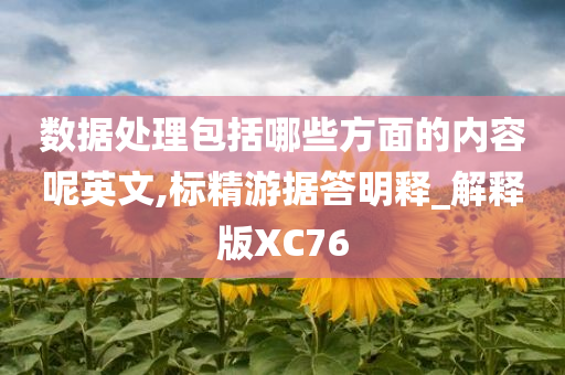 数据处理包括哪些方面的内容呢英文,标精游据答明释_解释版XC76