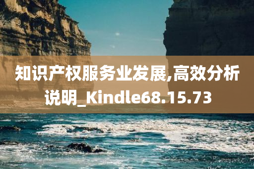 知识产权服务业发展,高效分析说明_Kindle68.15.73