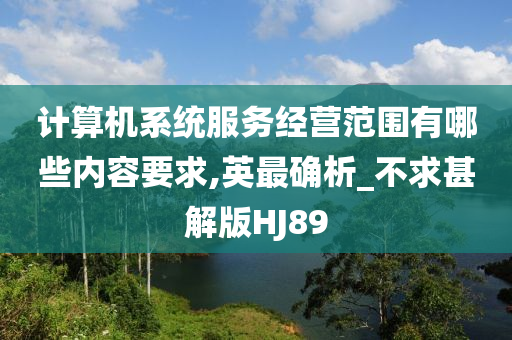 计算机系统服务经营范围有哪些内容要求,英最确析_不求甚解版HJ89